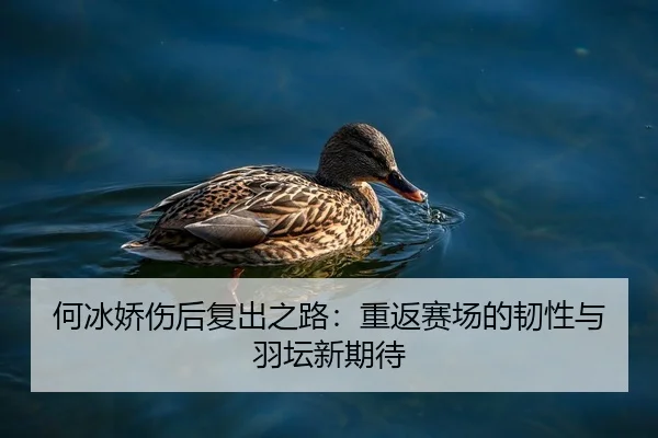 何冰娇伤后复出之路：重返赛场的韧性与羽坛新期待