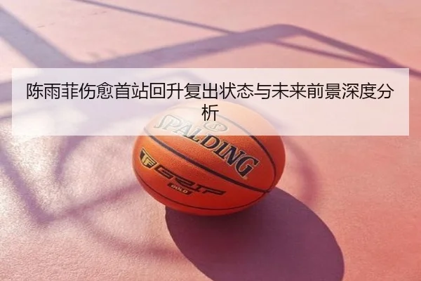 陈雨菲伤愈首站回升复出状态与未来前景深度分析