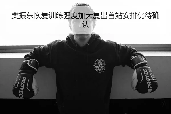 樊振东恢复训练强度加大复出首站安排仍待确认